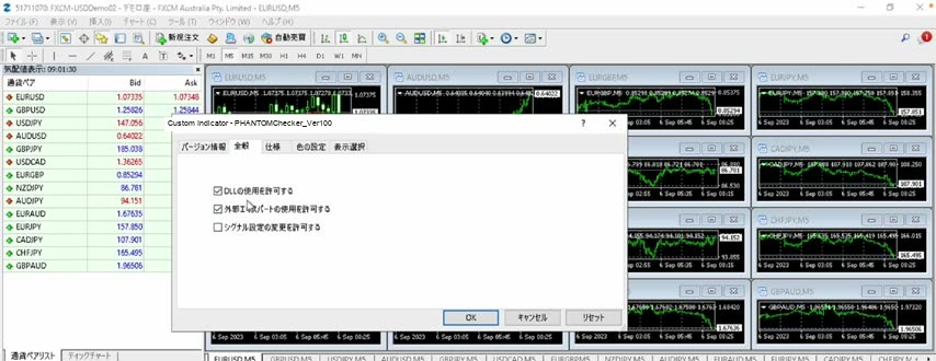 DLLの使用を許可するチェック画面